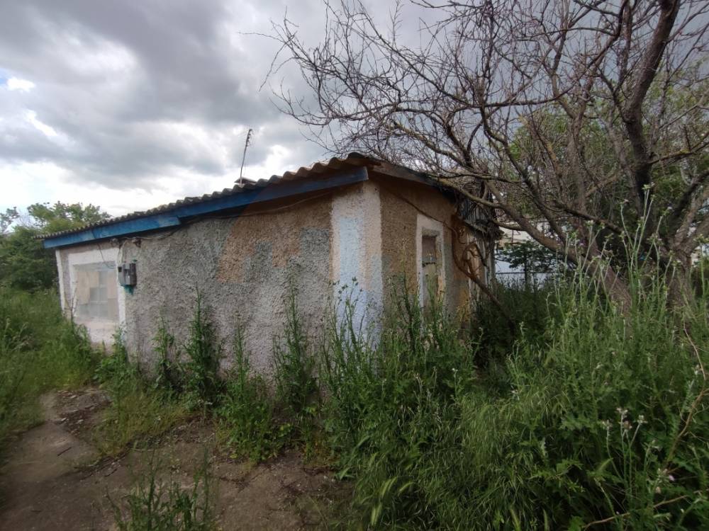 главное