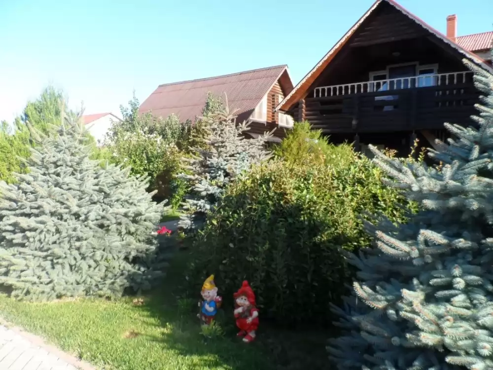 img_20260729_111655_976