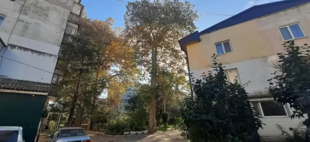 двор2