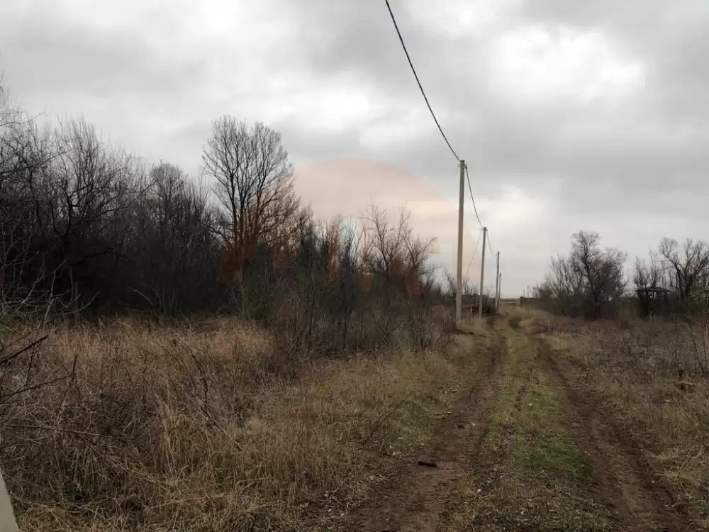 дорога грунтовая