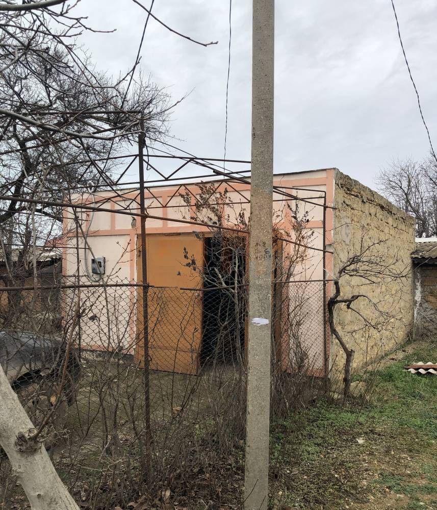 главная