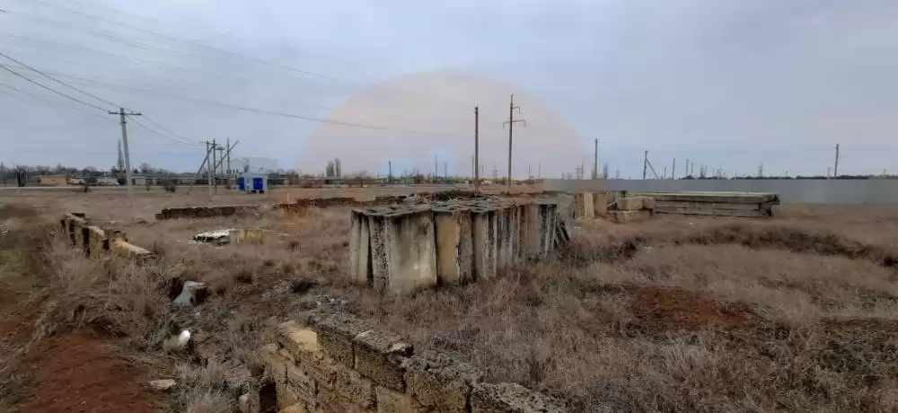 20250303_170657