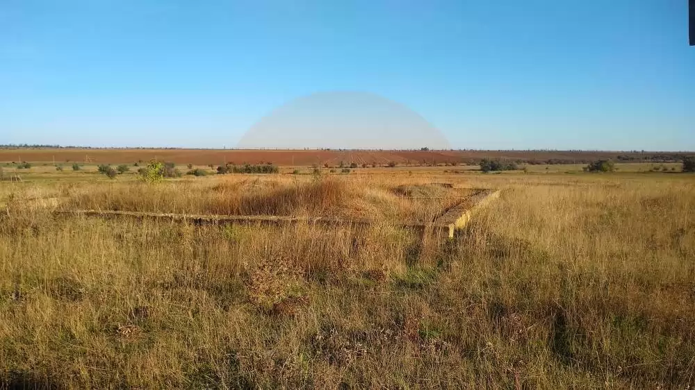 главная
