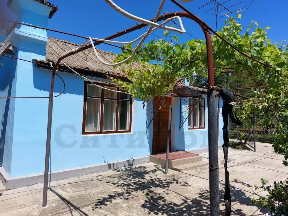 главная (1)