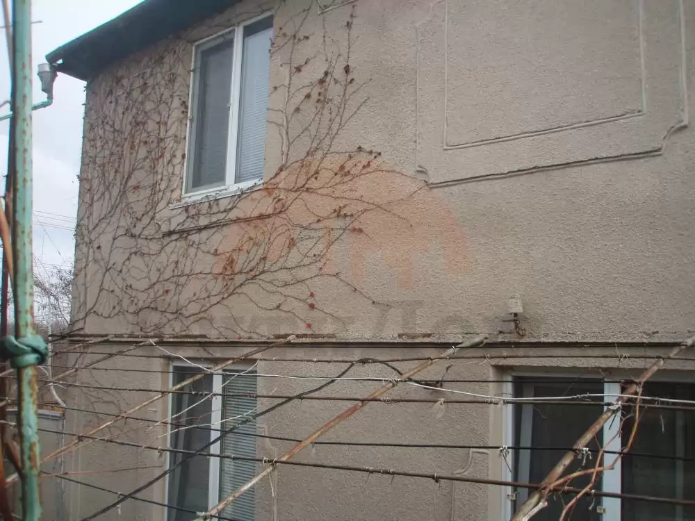 главная