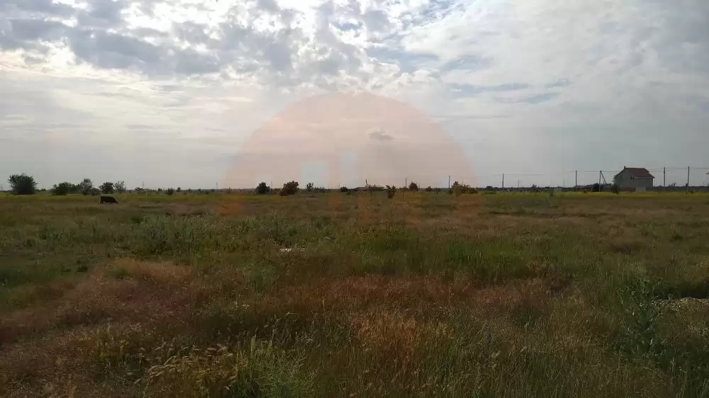 главная