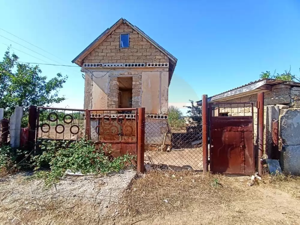 главная