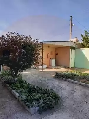 двор 1