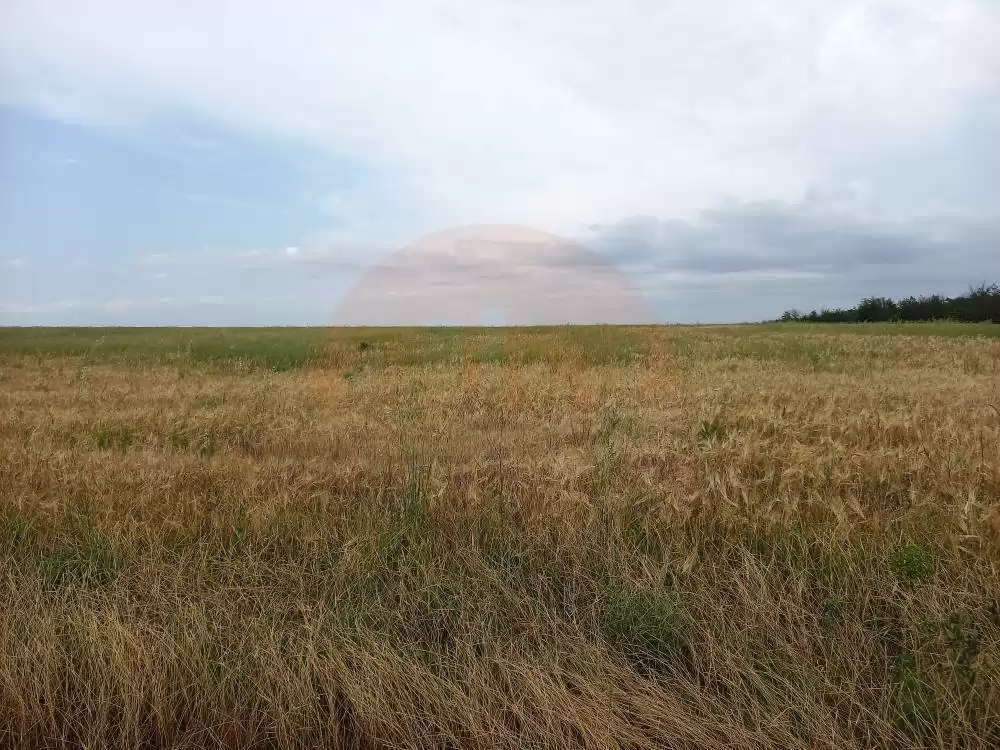 1 главная