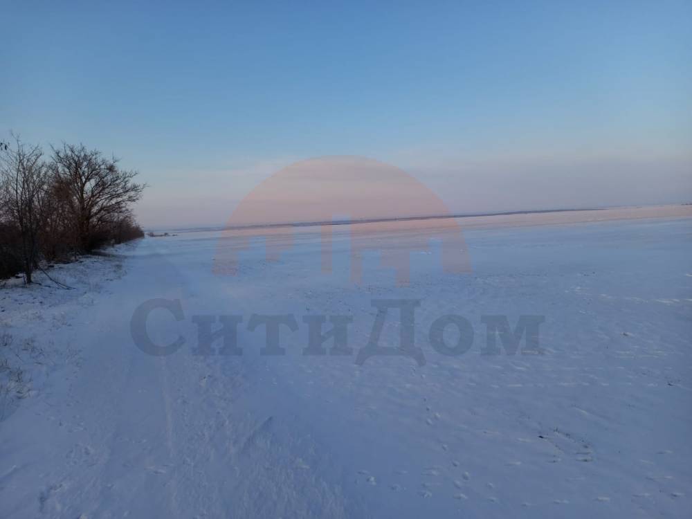 главная