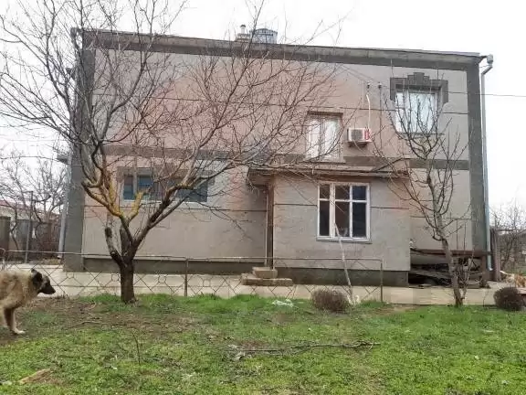 главная