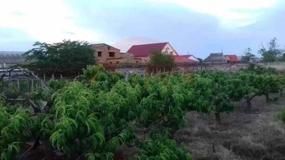 главная