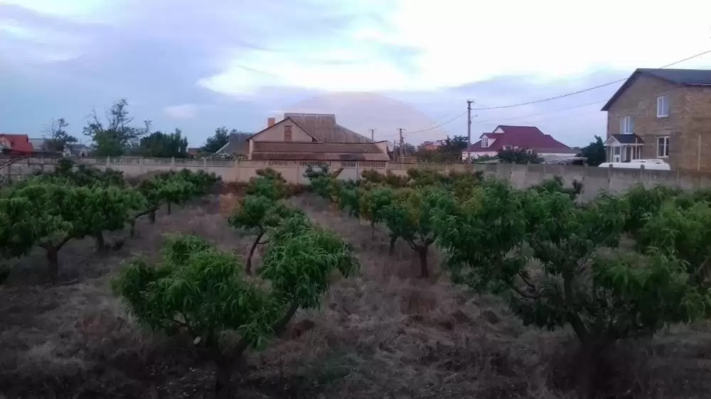 сад
