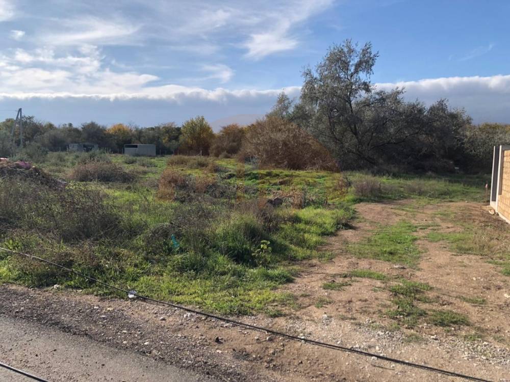 дорога к морю