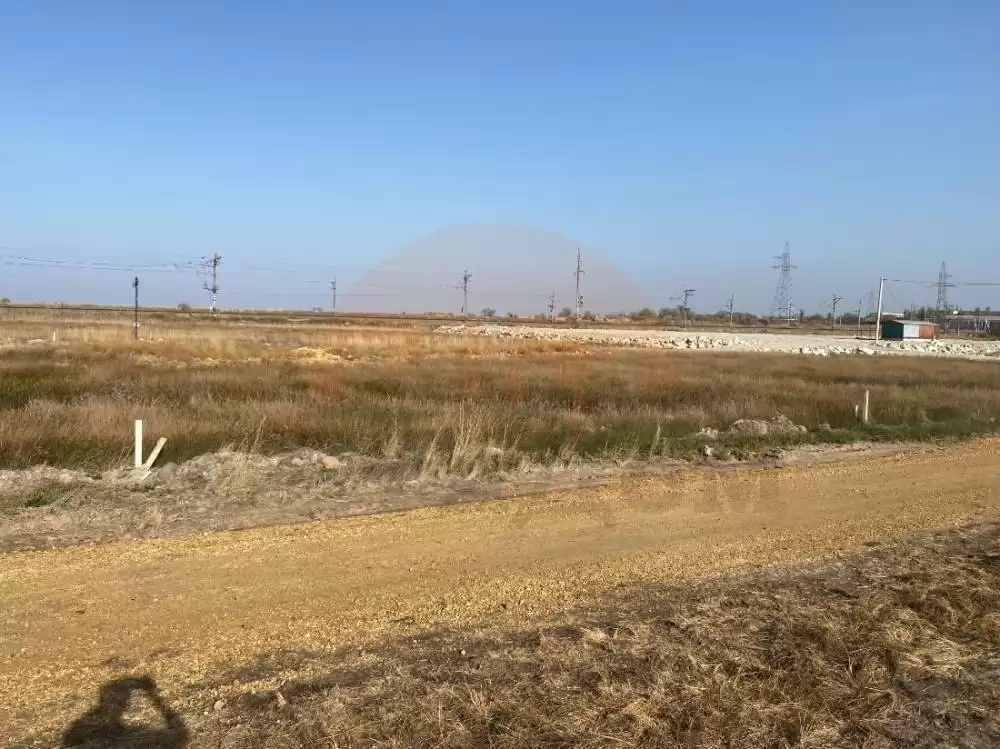 главная