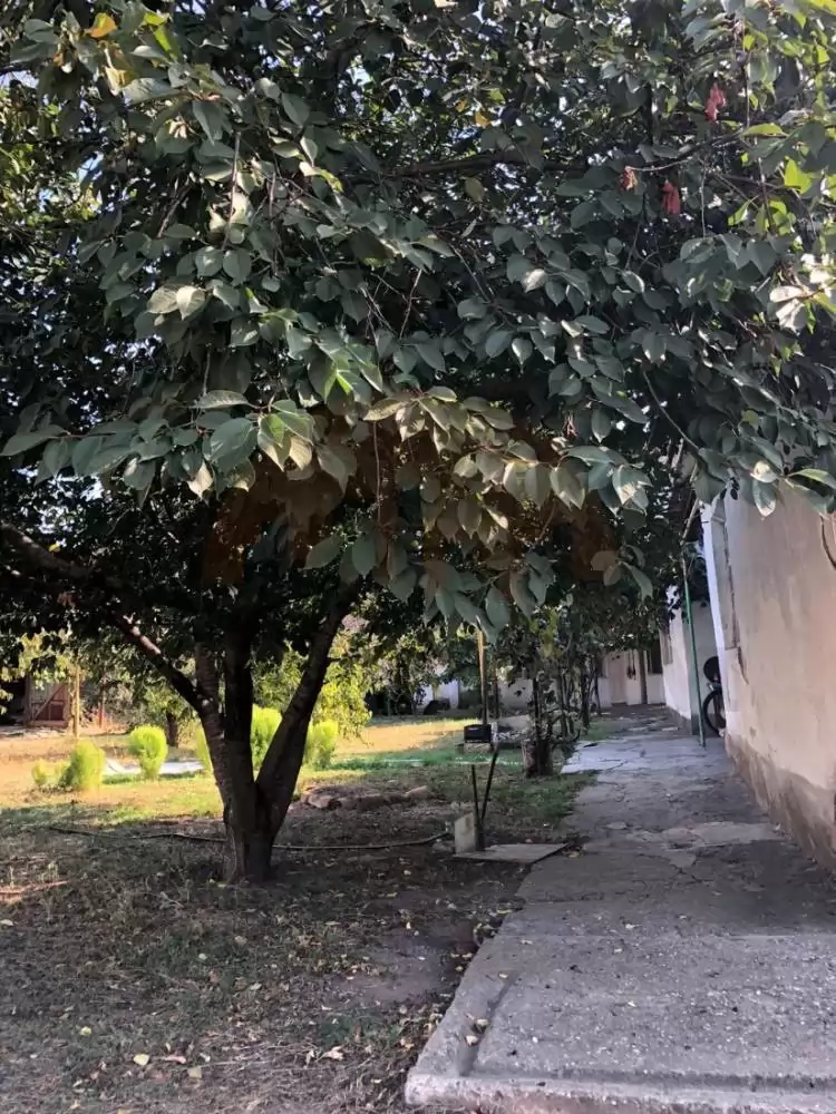 участок (6)