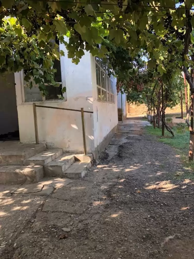 вид на дом (2)