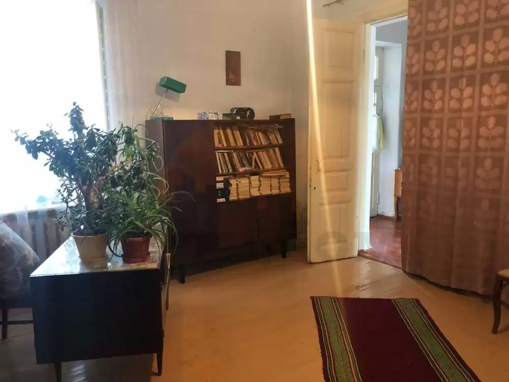 комната1