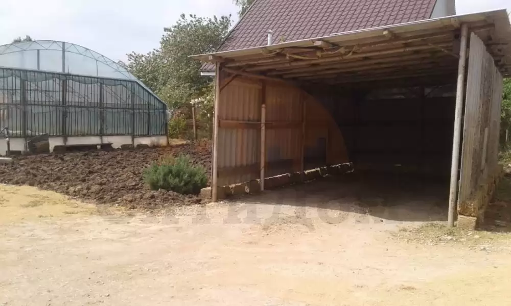 1716885783142