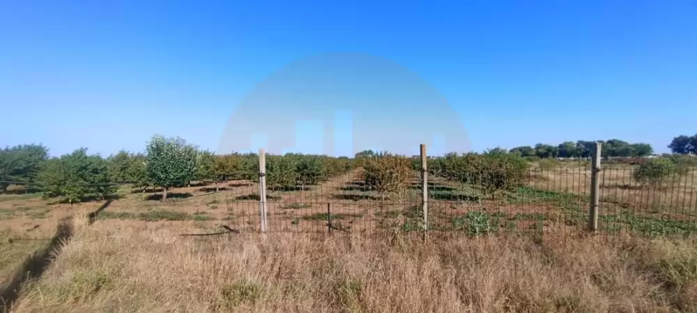 1728284859284