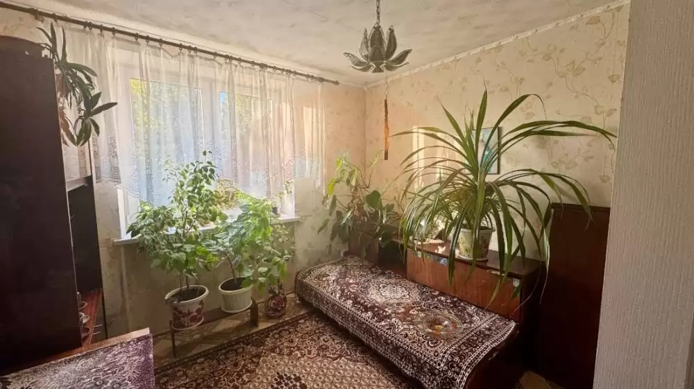 6 комната 3