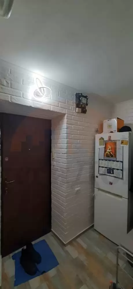20250209_110932
