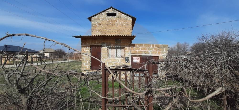 главная