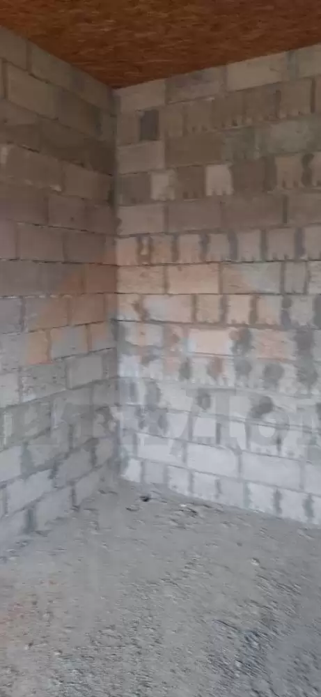 20250416_181506
