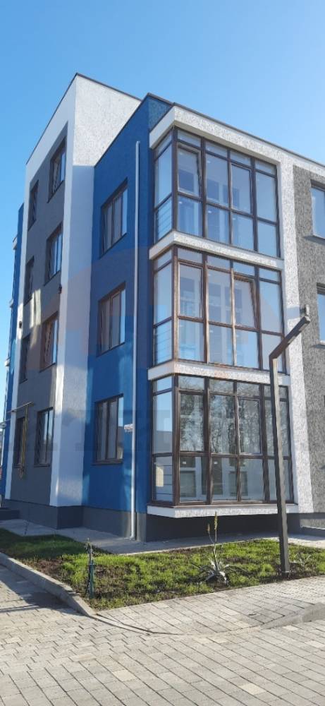 главная (2)