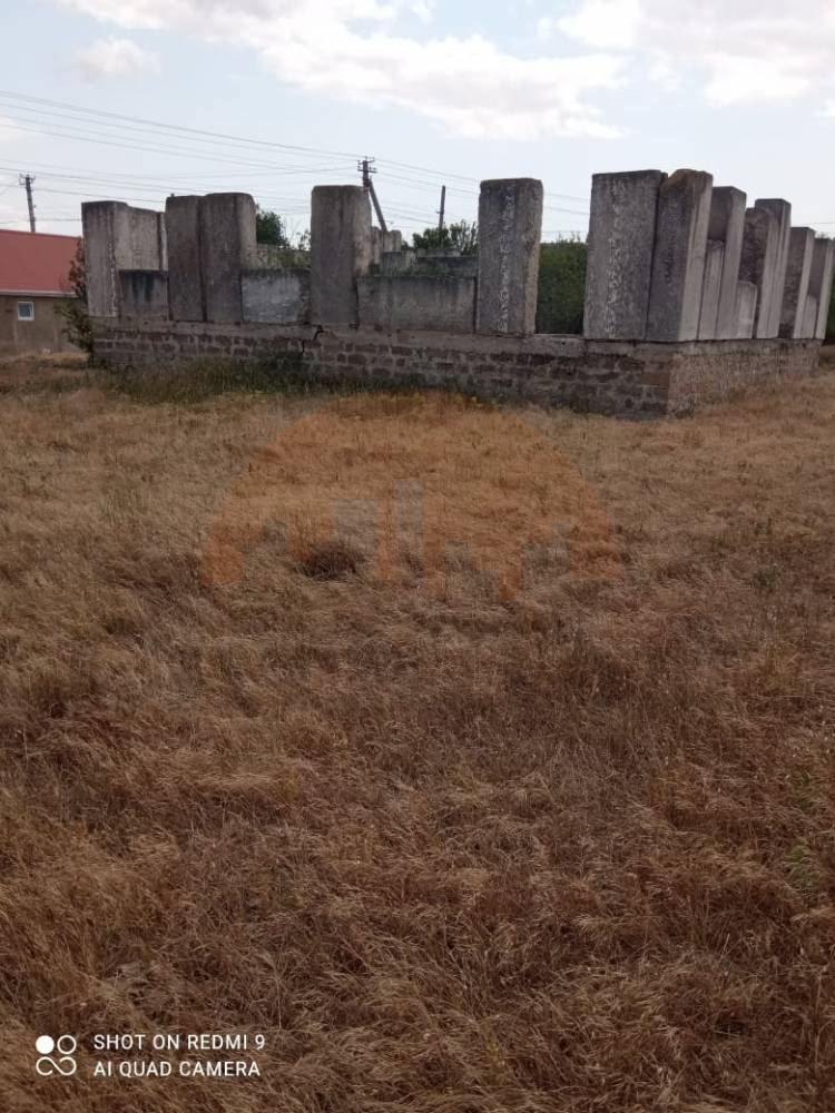 главное