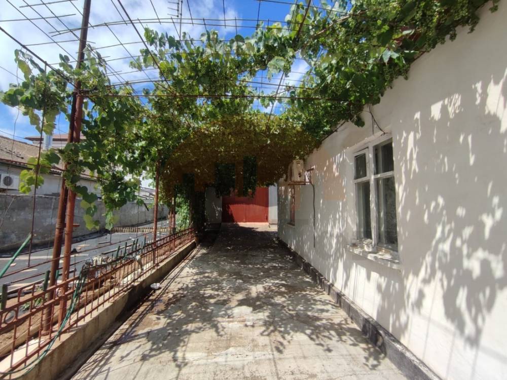 главное