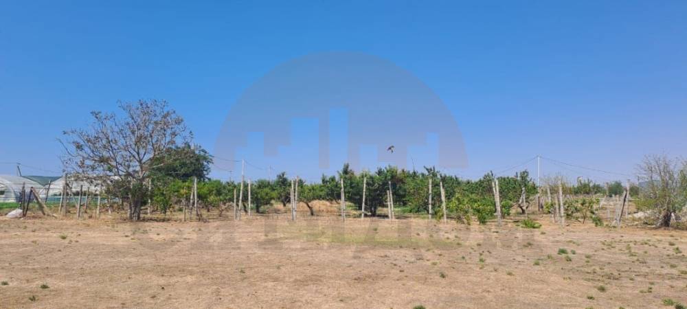 img_20250817_204048_577