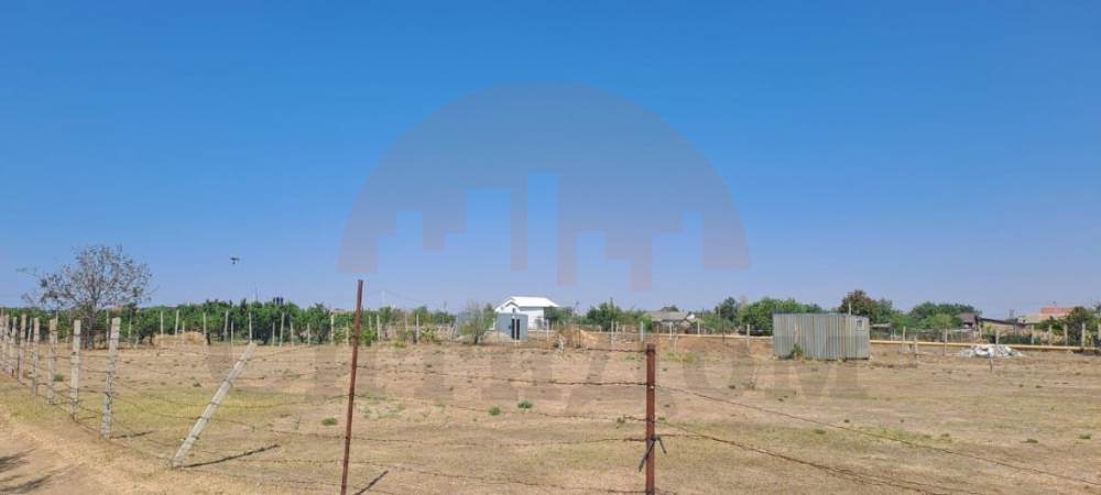 img_20250817_204048_946