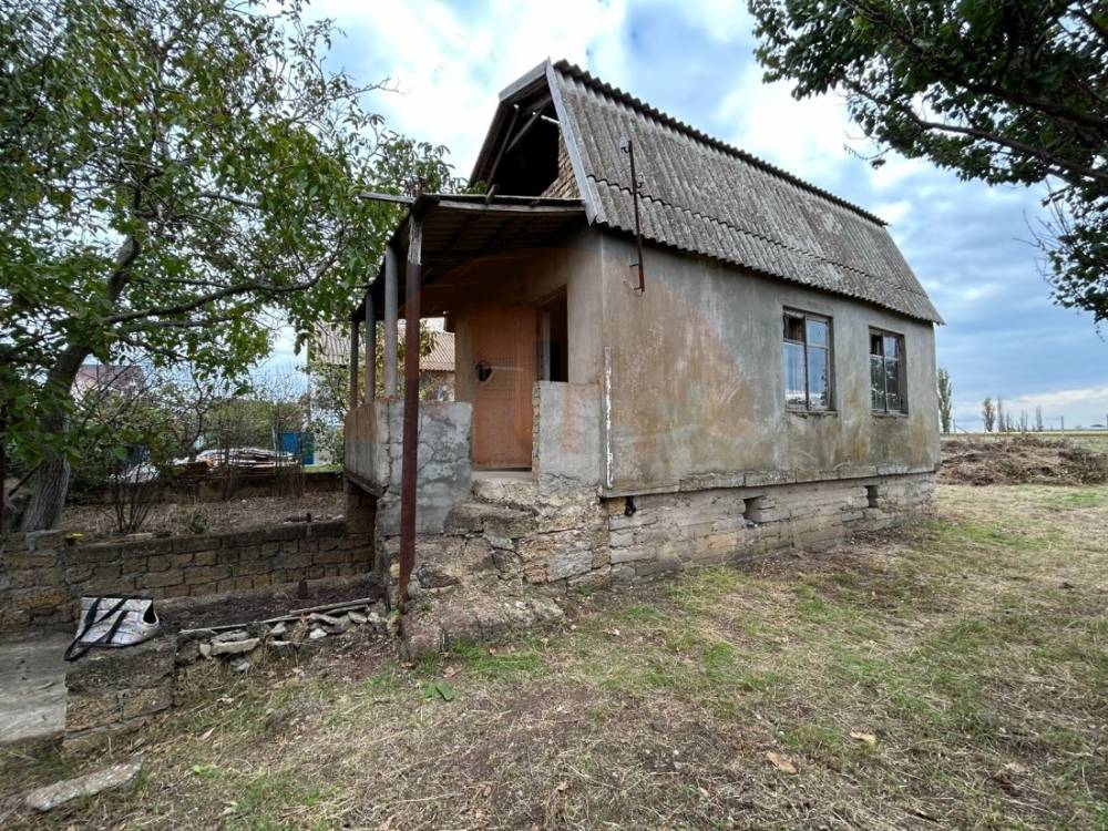 главная