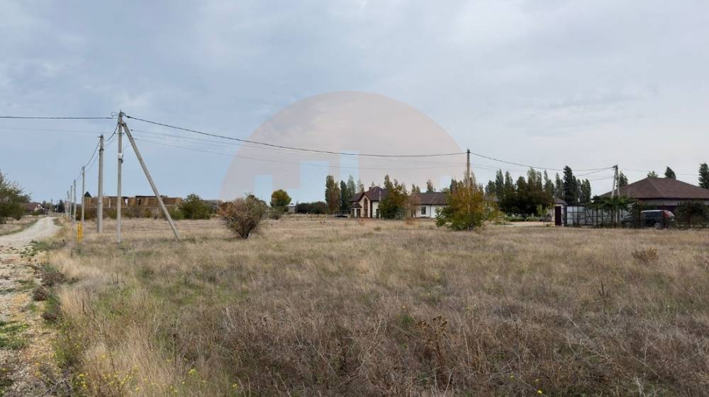 главная