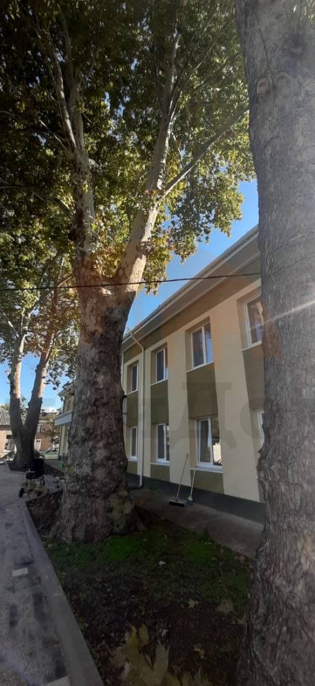 главная