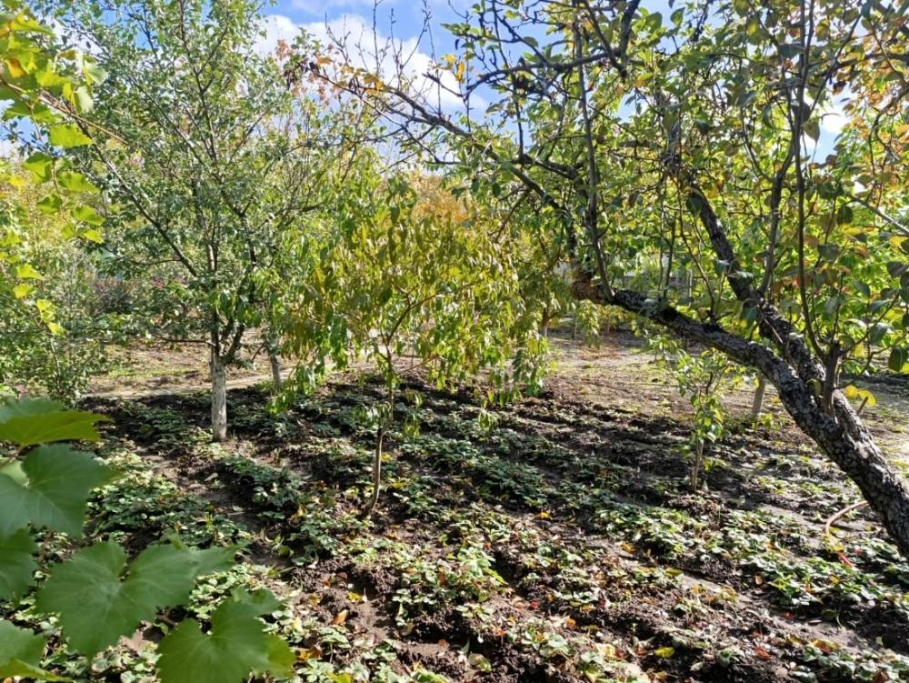 photo-2025-10-22-09-30-14-33