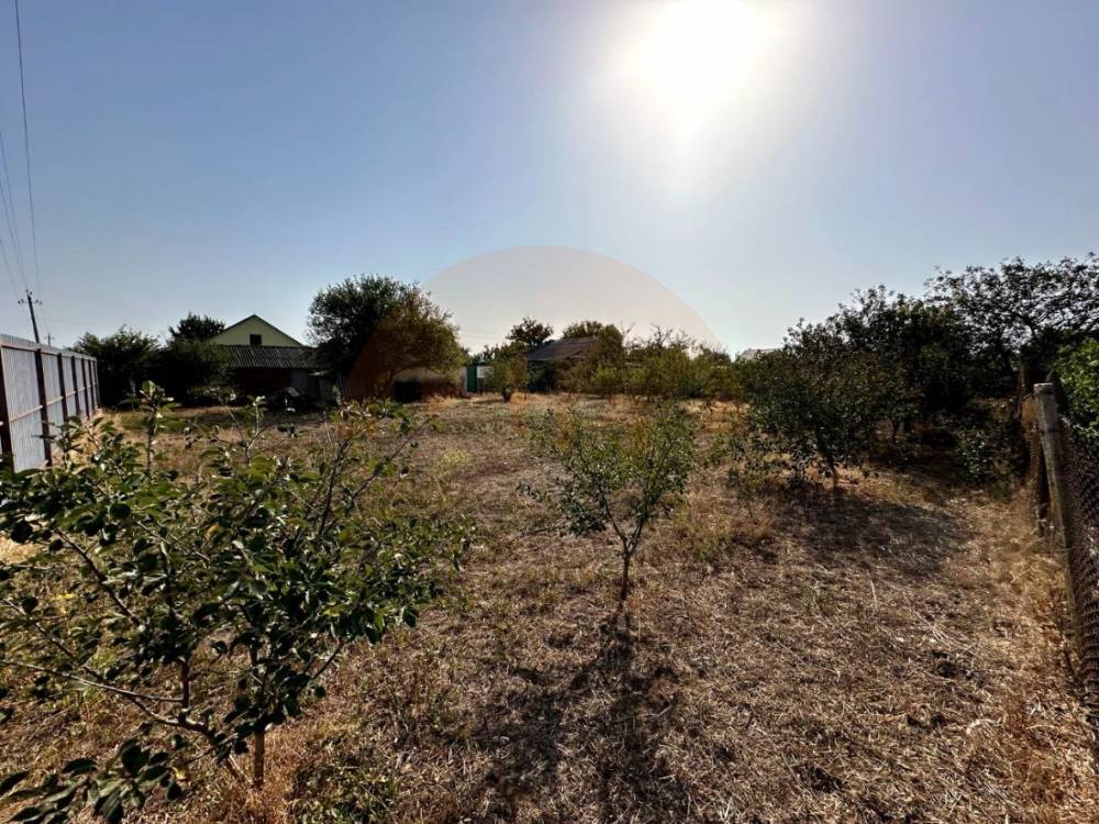 img_20251030_203512_495