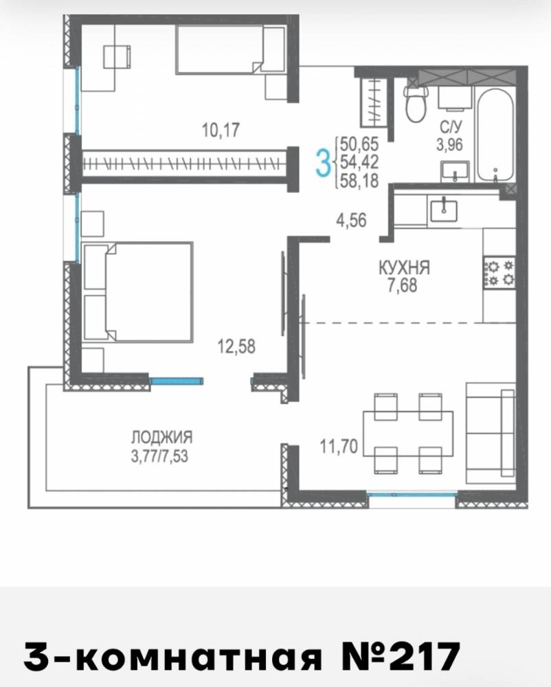 217 3к сек5 3эт 58,18кв