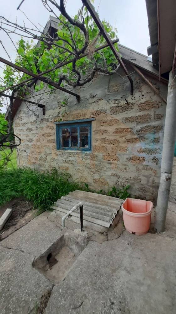 img_20251110_215500_956