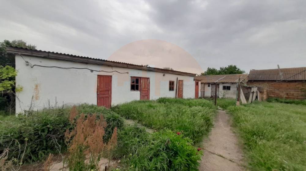 img_20251110_215500_969