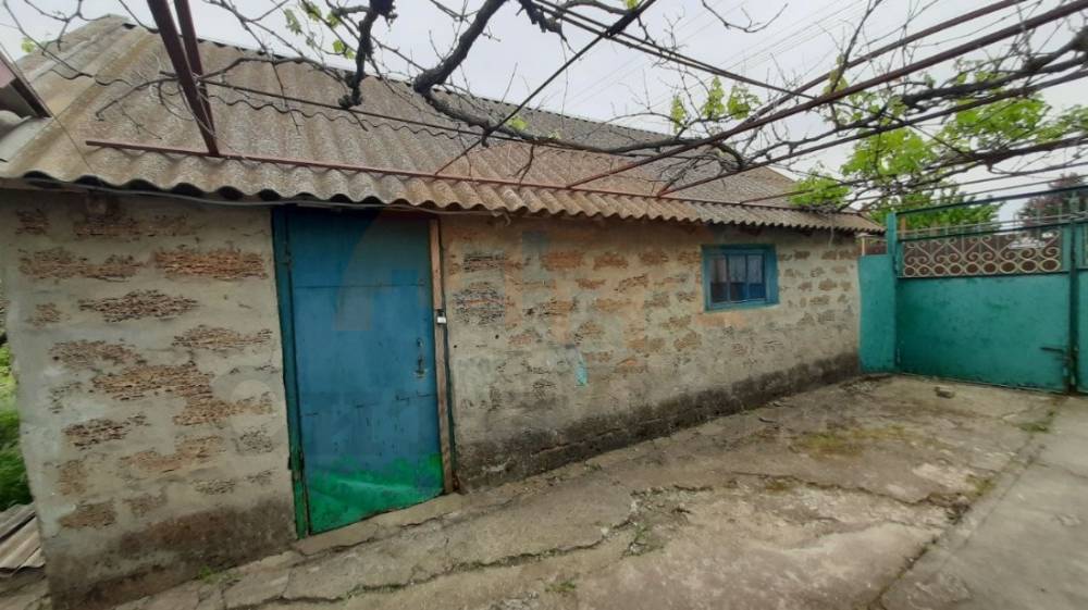 img_20251110_215501_304