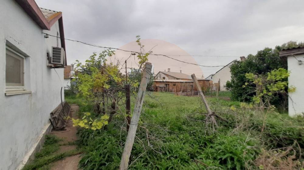 img_20251110_215501_343