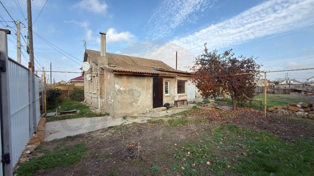 image-11-11-25-07-55