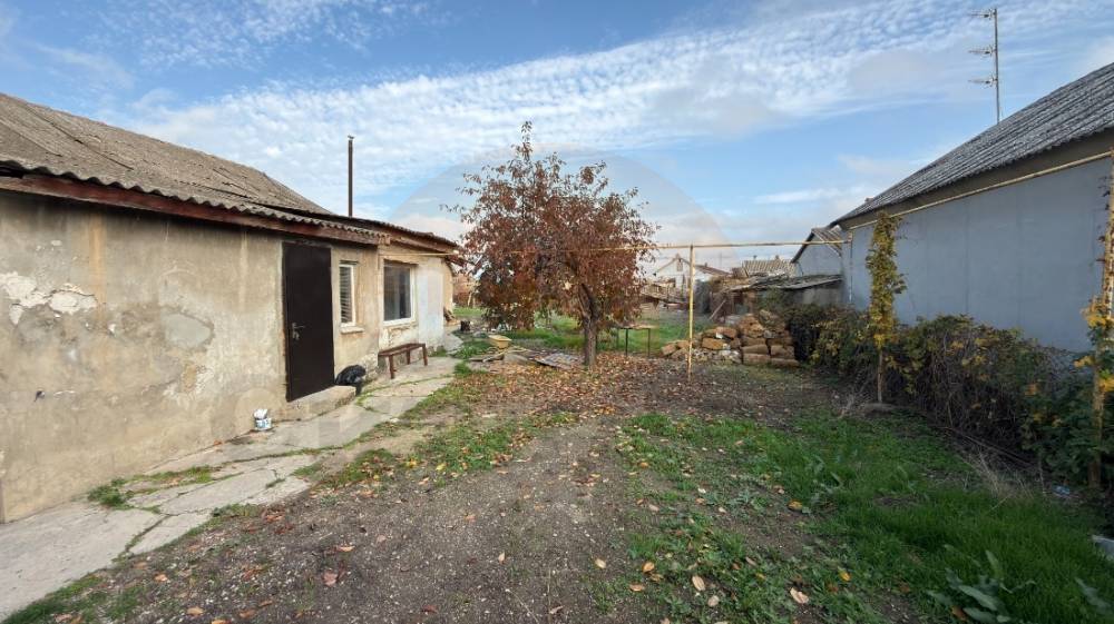 image-11-11-25-07-55-1