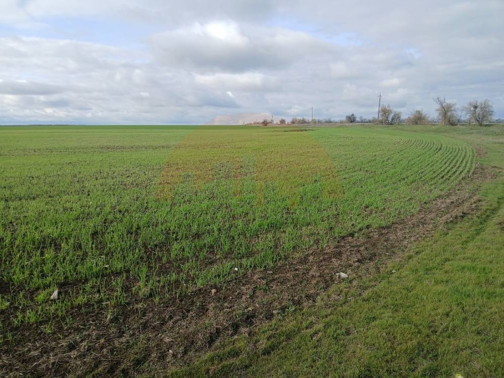 Продажа участка, Новоселовское, 1 улица