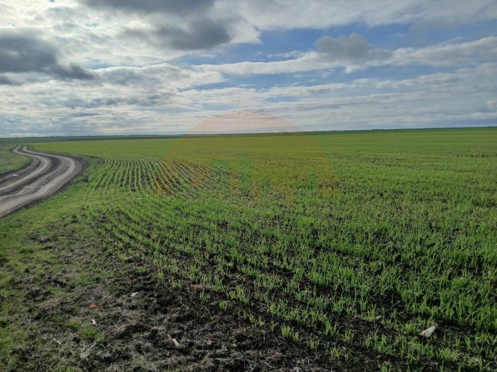 Продажа участка, Новоселовское, 1 улица