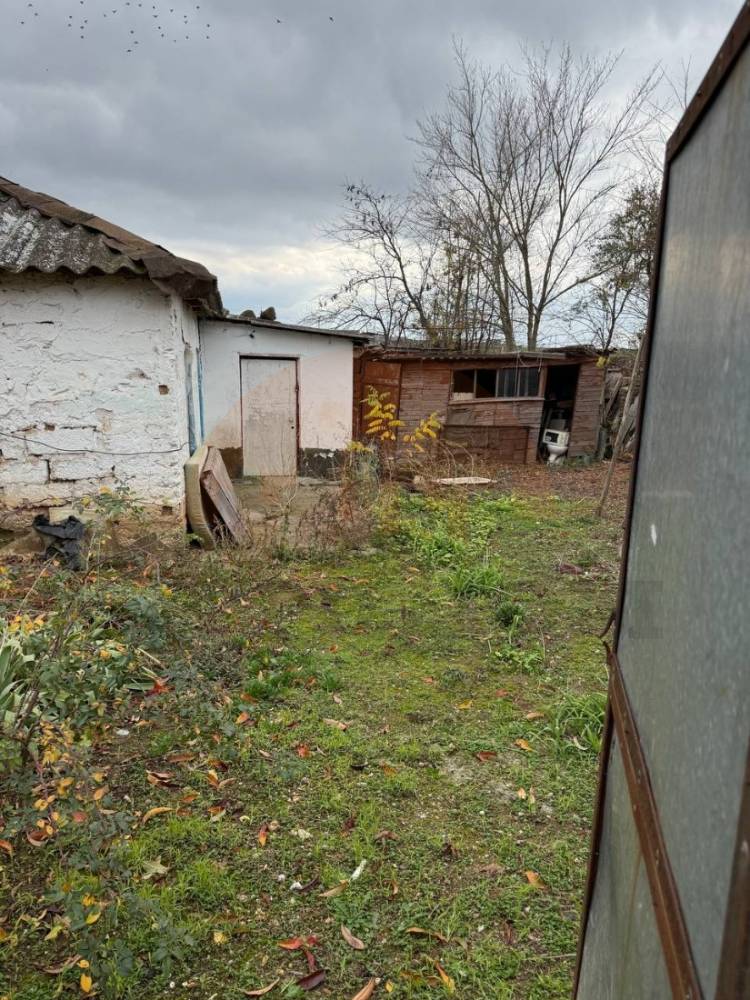 img_20251118_082712_464