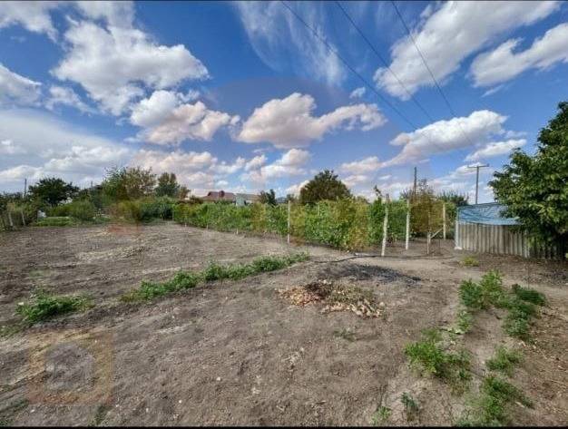 img_20251118_113853_375