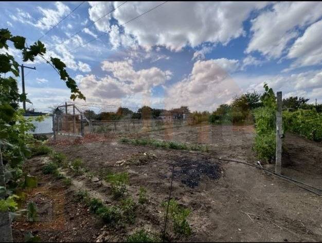 img_20251118_113853_641